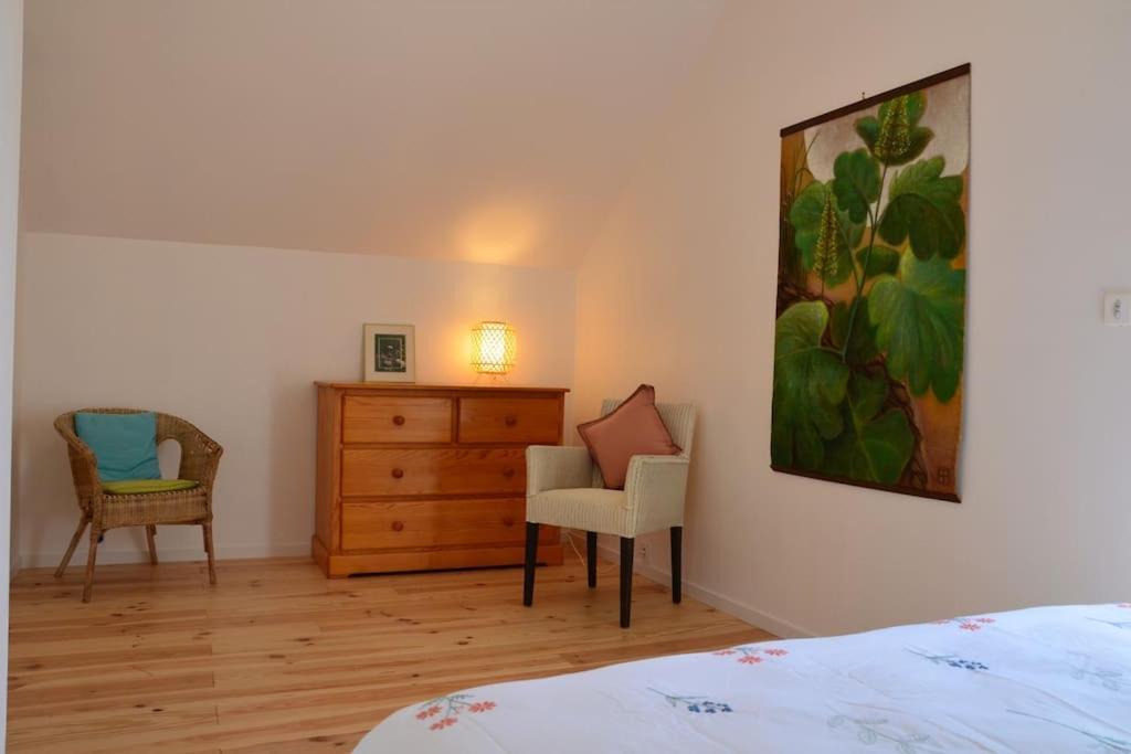 La Maison Des Cordelles Saint-Denis-en-Val Esterno foto